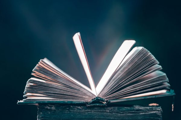 WhatsApp Image 2025-04-13 at 09.51.03